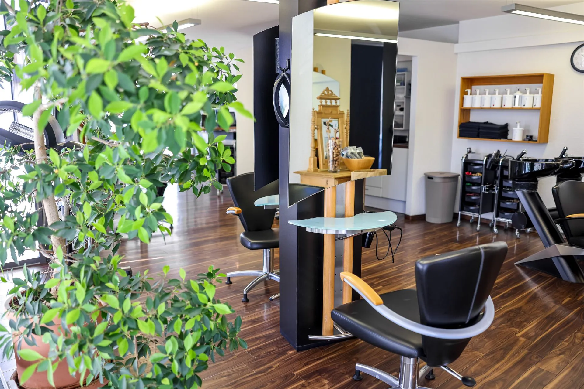 Blick in den Salon mit Stylingplätzen und Pflanzen